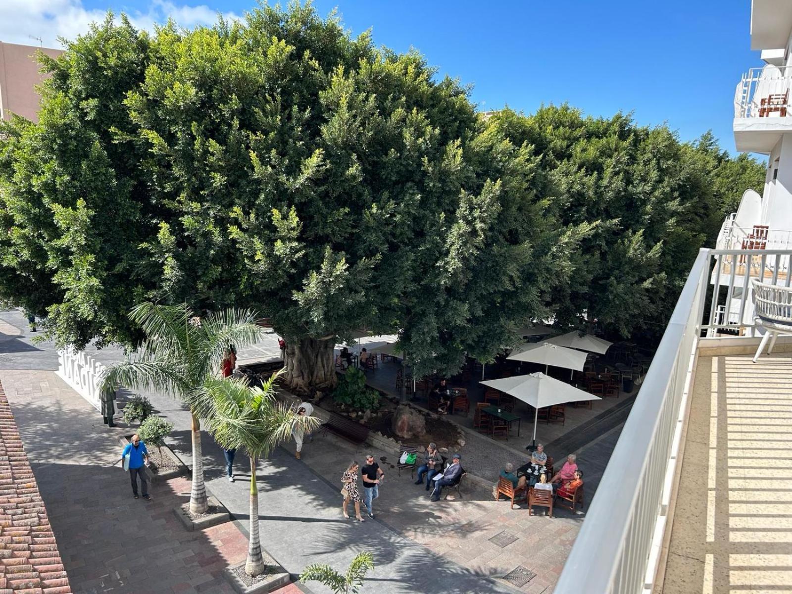 Vista Plaza - Exceptional Location Διαμέρισμα Los Llanos De Aridane Εξωτερικό φωτογραφία
